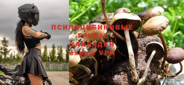 apvp Абинск