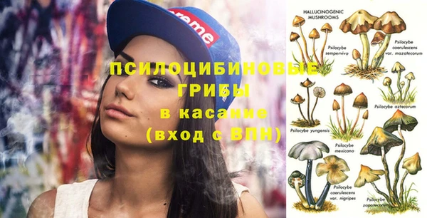 apvp Абинск