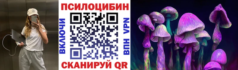 купить   Харабали  Галлюциногенные грибы Psilocybine cubensis 